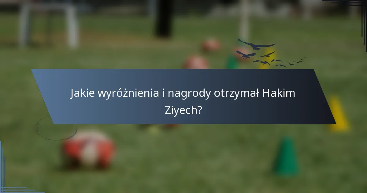 Jakie wyróżnienia i nagrody otrzymał Hakim Ziyech?